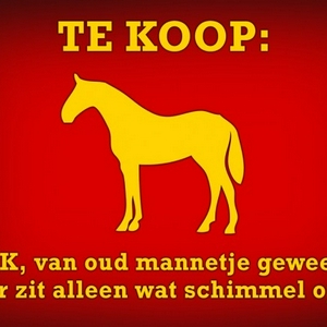 36305_tekoopamerico-copy.jpg