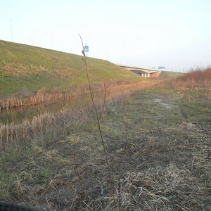 SAM_6149.jpg