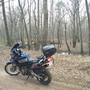 Pearl River WMA access road