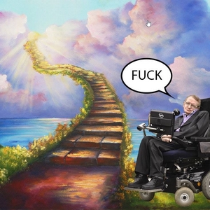 IMG_1941.PNG