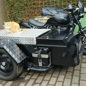 Bak thuis.