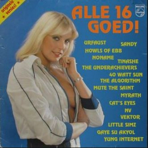 16.JPG