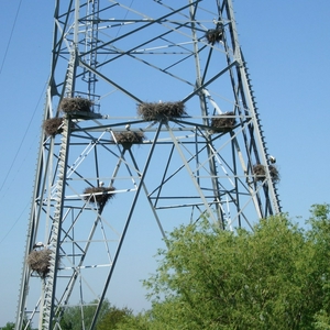 DSCF2389.jpg