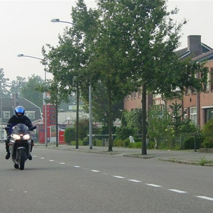 DSC05402.JPG