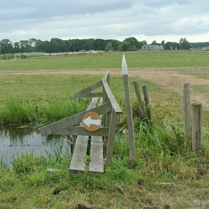 OM2.jpg