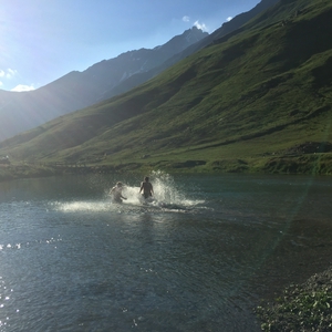 IMG_1747.jpg