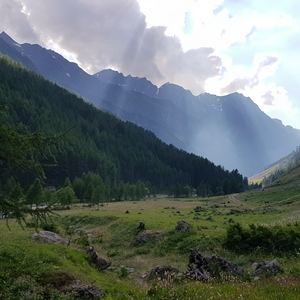 20180709_182203.jpg