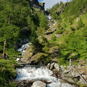20180709_183651.jpg