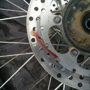 Bloody disc