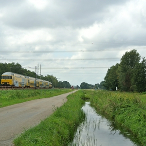 OM2.jpg