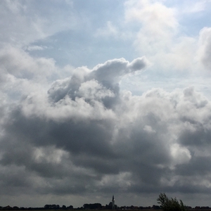 1775DC69-E5B5-46F0-B649-179A640EFAE9.png