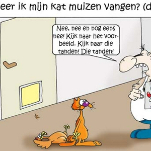 dierenspeciaal kat 5.jpg
