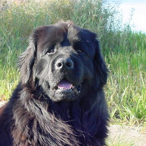 Luca in het park-006F (Small).JPG