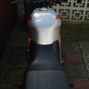DSC00736.JPG
