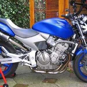 blauw.jpg