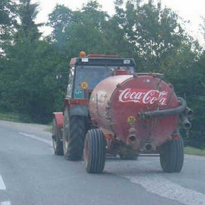 gierputzooi giert tussen je kiezen!