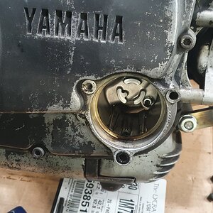20220120_201025.jpg