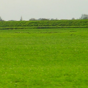Dsc01919.jpg