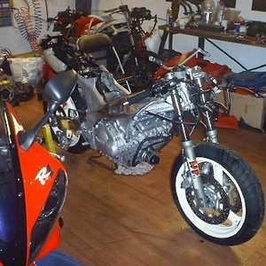 fzr 7.jpg
