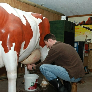 DSC_2869 kopie.jpg