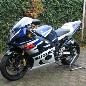 GSXRuudv1.JPG