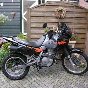 Dominator 1.jpg