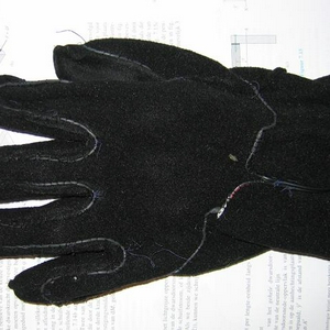 handschoen2.jpg