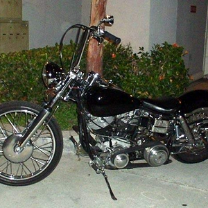 shovel159.jpg