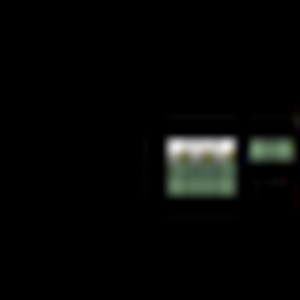 025.gif