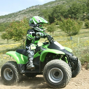 kawasaki KFX50.jpg