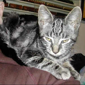 DSCN3408.jpg