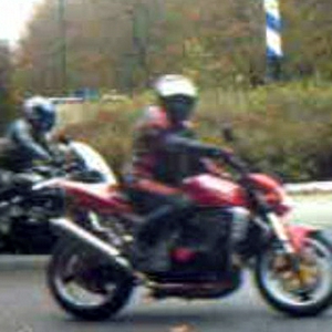 muis Jaymn1.jpg