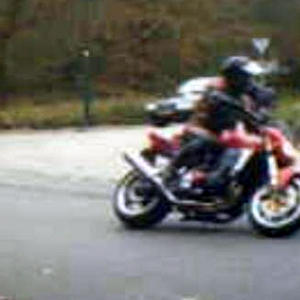 muis11.jpg