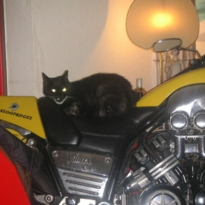 pict0008.jpg