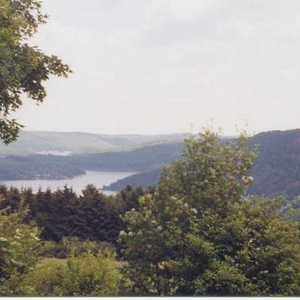 Landscape.JPG