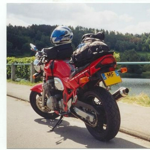 Lakeside Bandit.JPG