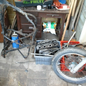 DSC00212.jpg
