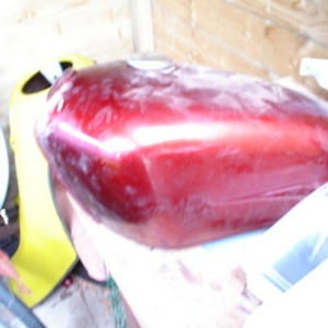 DSC00215.jpg