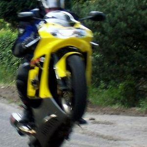 wheely NOFEAR_edited.jpg