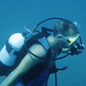looking4Nemo.bmp