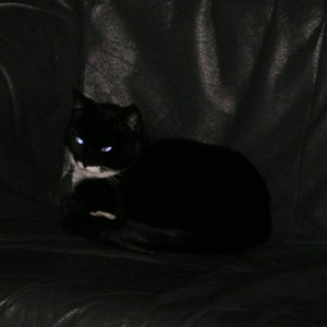 pict0003.jpg