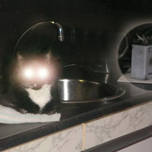 pict0001cdgtxls.jpg