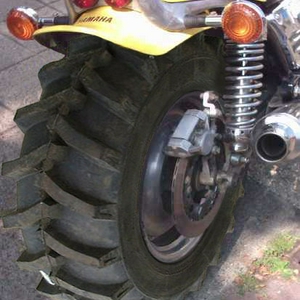 sp08.jpg