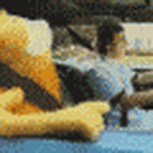 geel beestje.gif