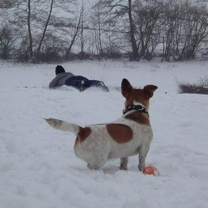 snee.JPG