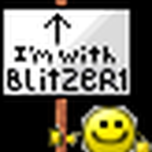stupid BlitzeR1.gif