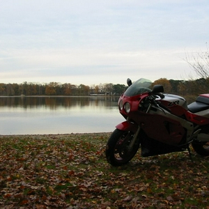 106-0645_IMG.jpg