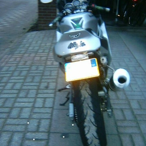 backside4klein.JPG