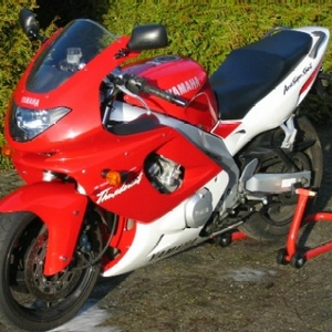 cat1_433.jpg