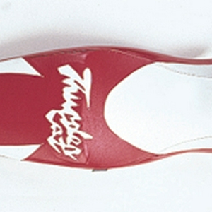 Bagster seatcover_rood-wit.jpg